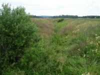 View towards north from the small road between Ingmr and Bjrsbyholm