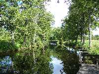 View upstreams from the upstream waiting bridge.