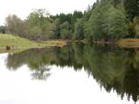 The canal downstreams from Bjurbcken locks.