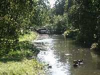 Vy nedstr�ms i kanalen n�got 100-tal meter fr�n inloppet.