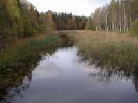 The creek downstreams the iron works