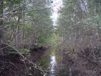 The canal in Fagersta