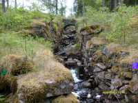 �stra kanalen fr�n hyttans plats s�derut mot h�lldammen