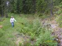 V�stra kanalen som leder till f�rd�mningen vid turbinhuset �r tom och igenvuxen.