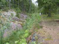 V�stra kanalen som leder till f�rd�mningen vid turbinhuset �r tom och igenvuxen.