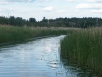 Vassrnnan inne i Trnbyviken